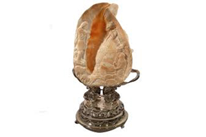 Carved Shell