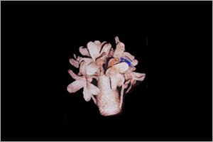 Jute Flowers
