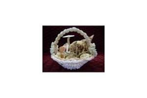 Sea Shell Crafts