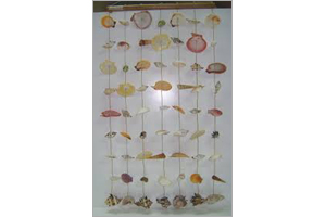 Shell hangings